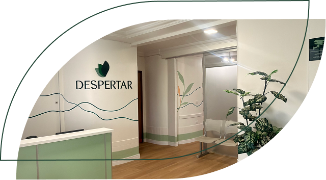 Recepção do Despertar